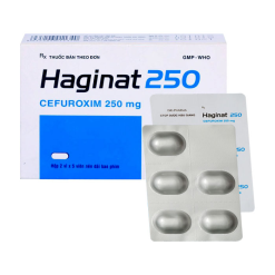 Haginat 250mg HG  Hộp2v*5v