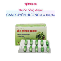 Cảm xuyên hương Hà thành H10v*10v