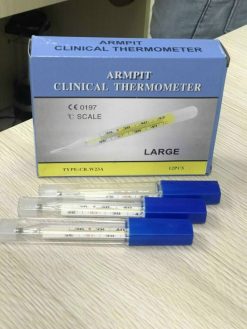 Nhiệt kế thủy ngân . H12Cái.